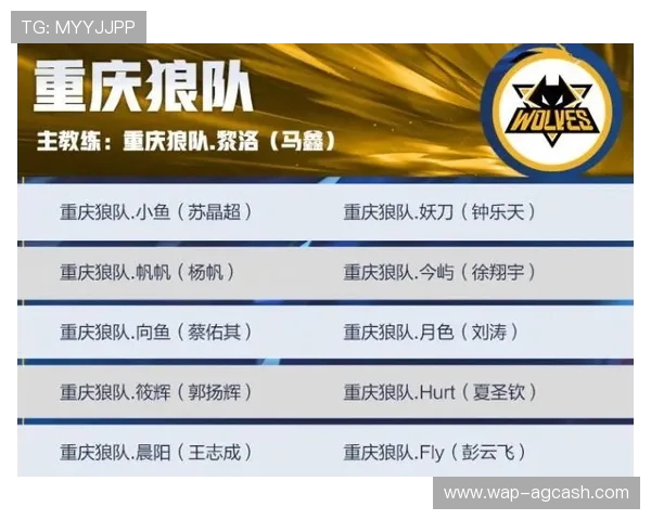 亚运会AG成员在比赛中的表现亮点与战术布局分析